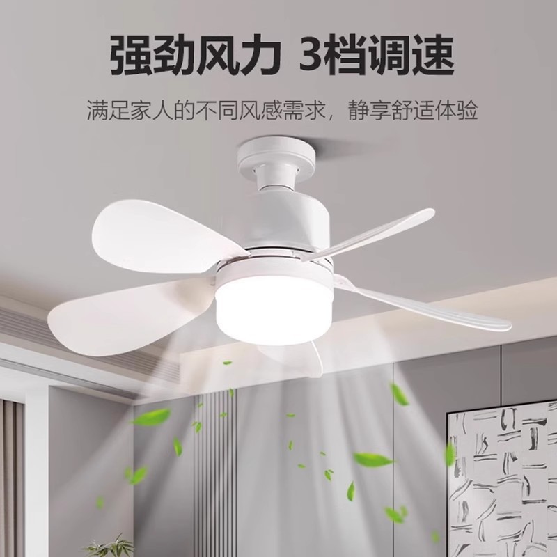 风扇灯实物图