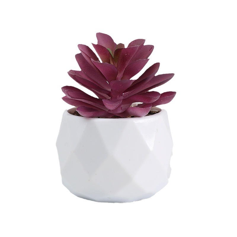 diy simulation succulent plant decoration, simulation Phalaenopsis set potted plants, cross-border home decoration, simulation floral art Item Picture
