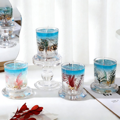 海螺/贝壳/珊瑚实物图