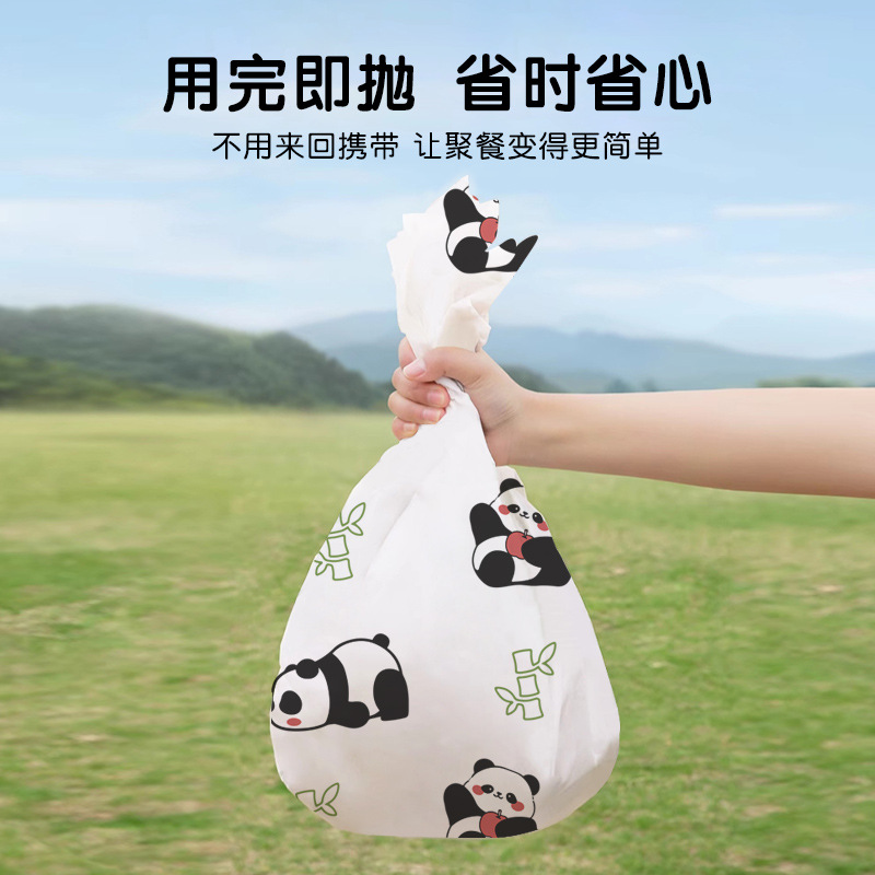 一次性野餐垫防潮垫单双人隔脏沙滩垫户外露营加厚春游垫子可定制详情图2