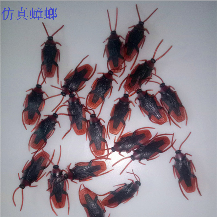 仿真昆虫实物图