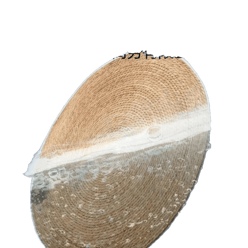 import白底实物图