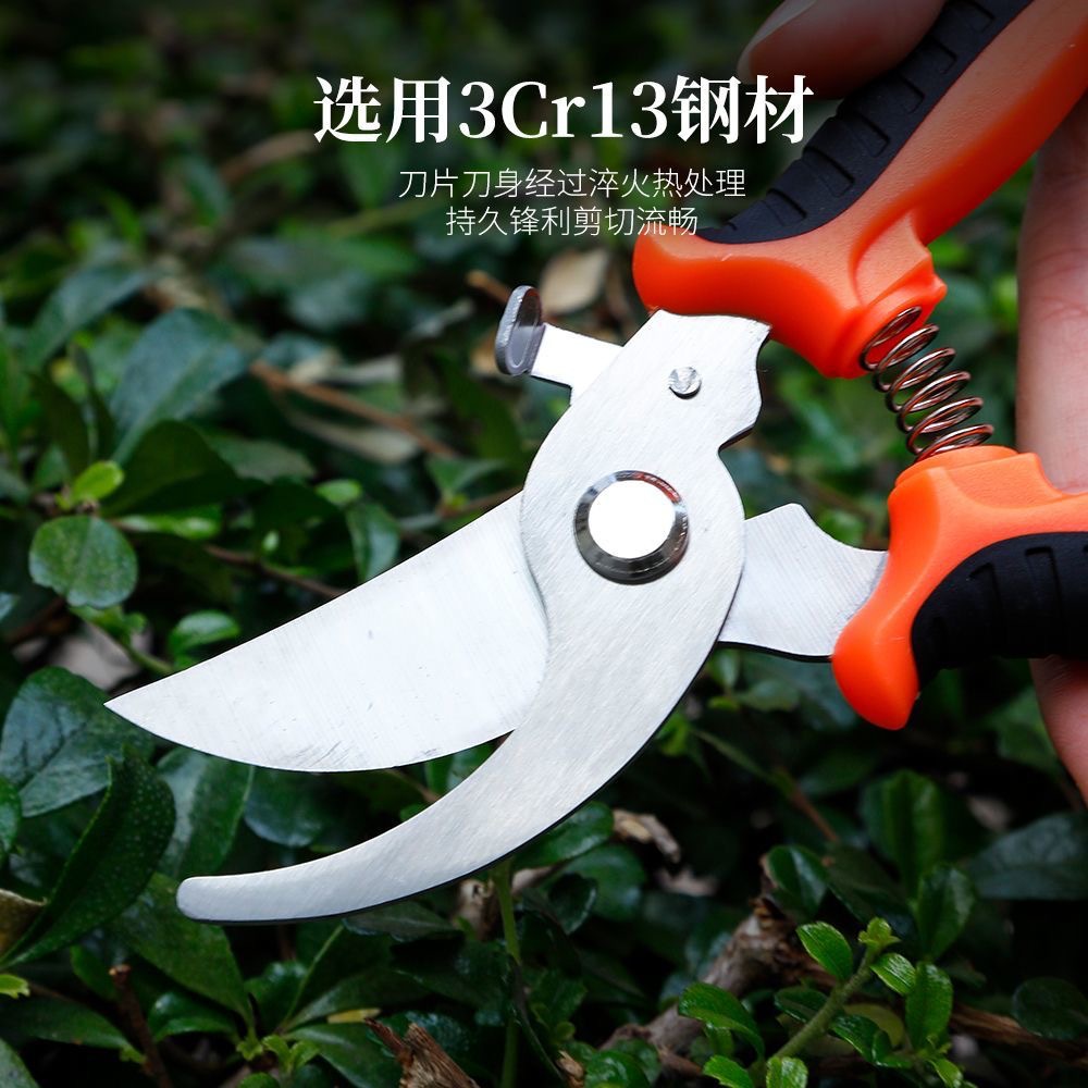 园艺剪修枝剪省力修剪树枝果树园林花卉专用细节图