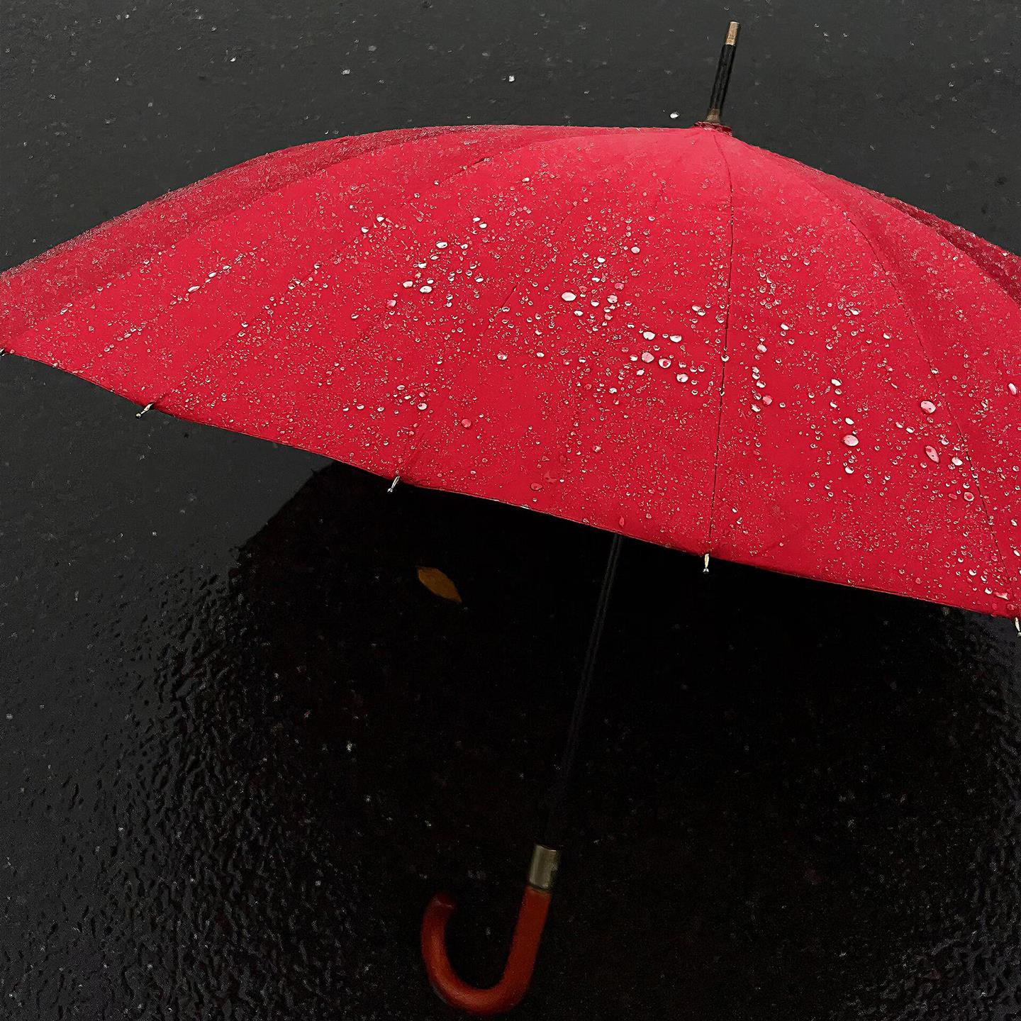 雨伞实物图