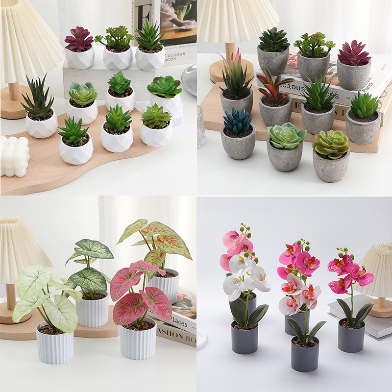 diy simulation succulent plant decoration, simulation Phalaenopsis set potted plants, cross-border home decoration, simulation floral art details Picture