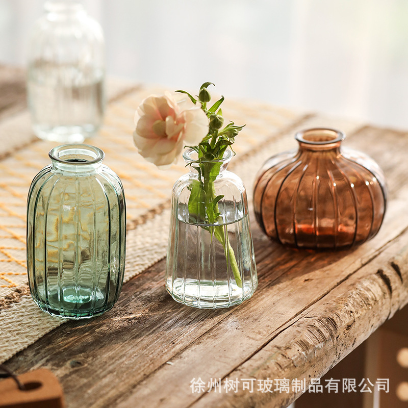 Japanese-style mini small vase, transparent glass vase, water care vase, table decoration, handicrafts, ornaments, flower vases