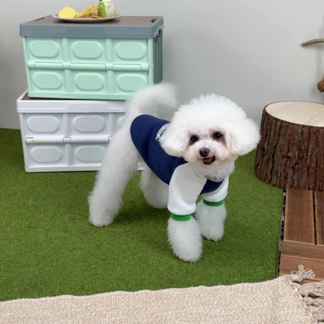 Pet clothing: blue for puppies and white for cats. Pet clothing for dogs is cute, comfortable and comes in a variety of styles