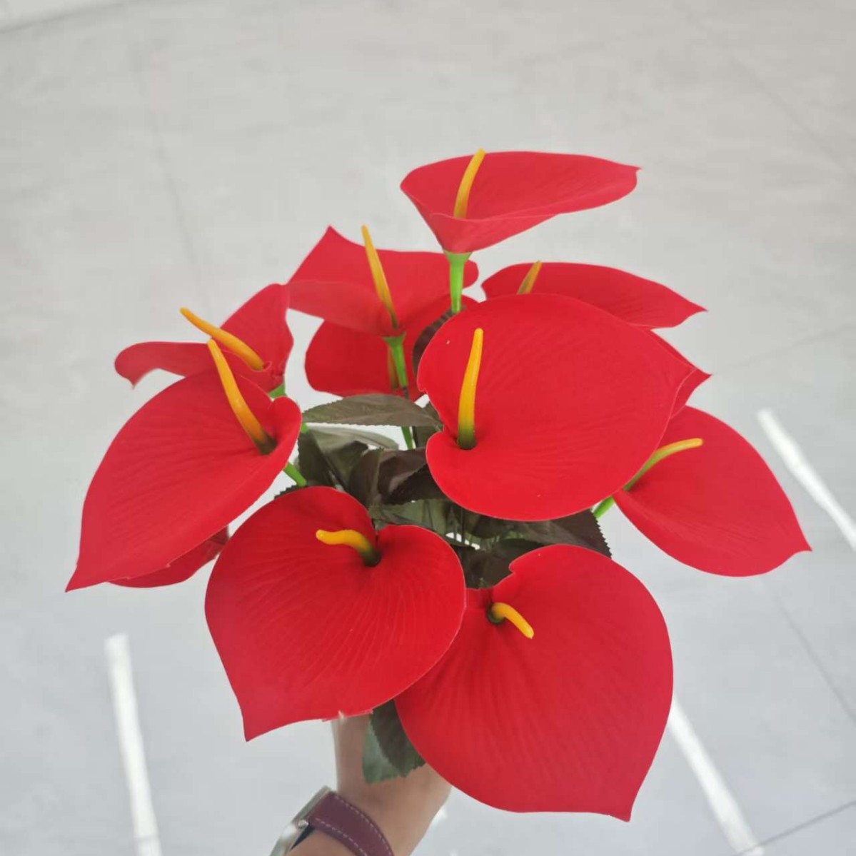 创意礼品套装实物图