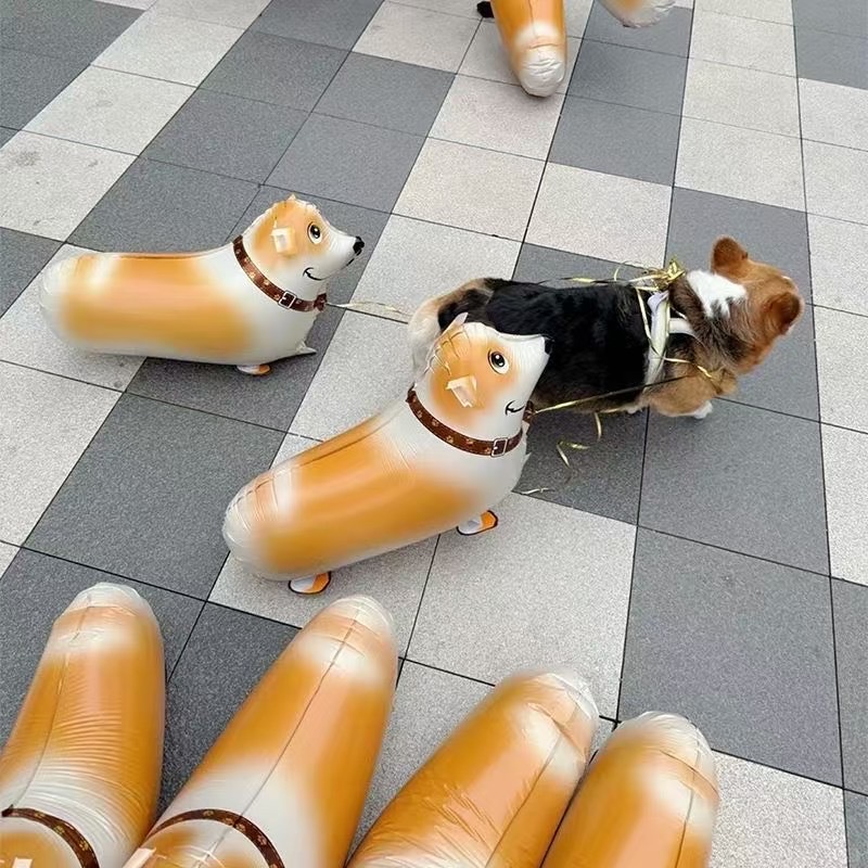 网红走路气球 走路动物气球会走路的猪散步猪 夜市地摊小礼品引流