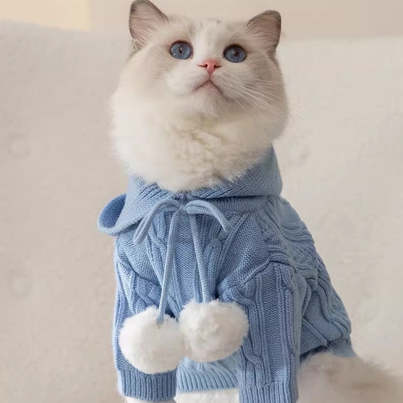 猫咪秋冬季连帽针织衫防掉毛猫咪衣服幼猫银渐层暹罗猫英短布偶猫
