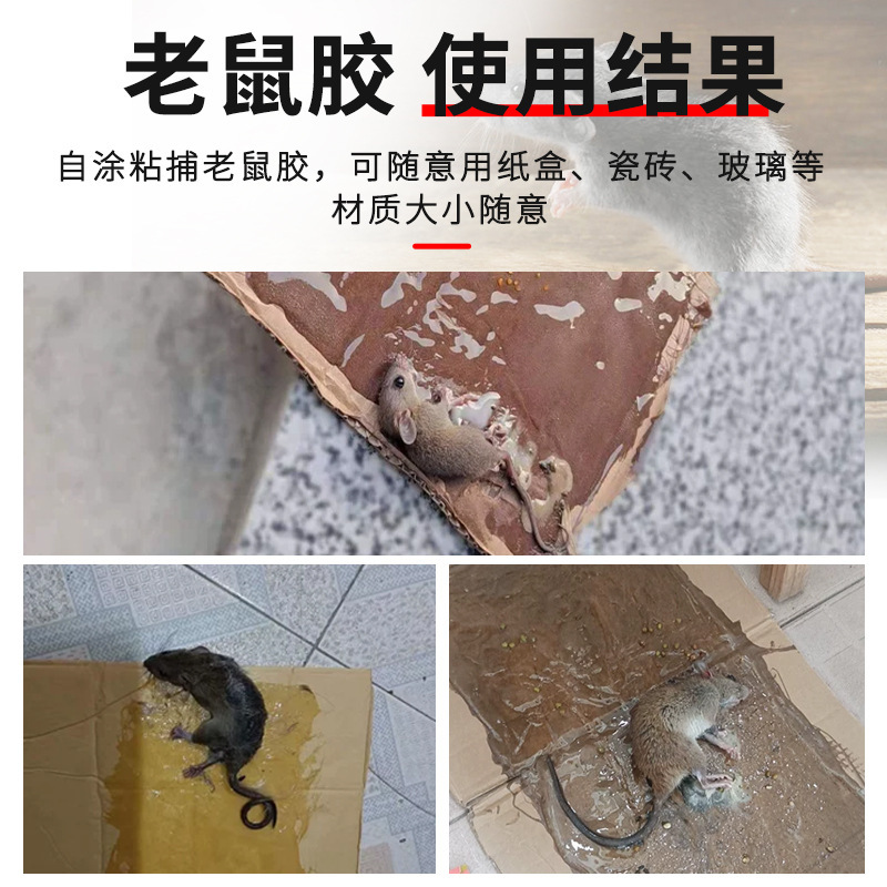 粘鼠板粘大老鼠胶水自涂家用桶装高粘度专粘驱鼠胶水灭鼠捕鼠神器细节图