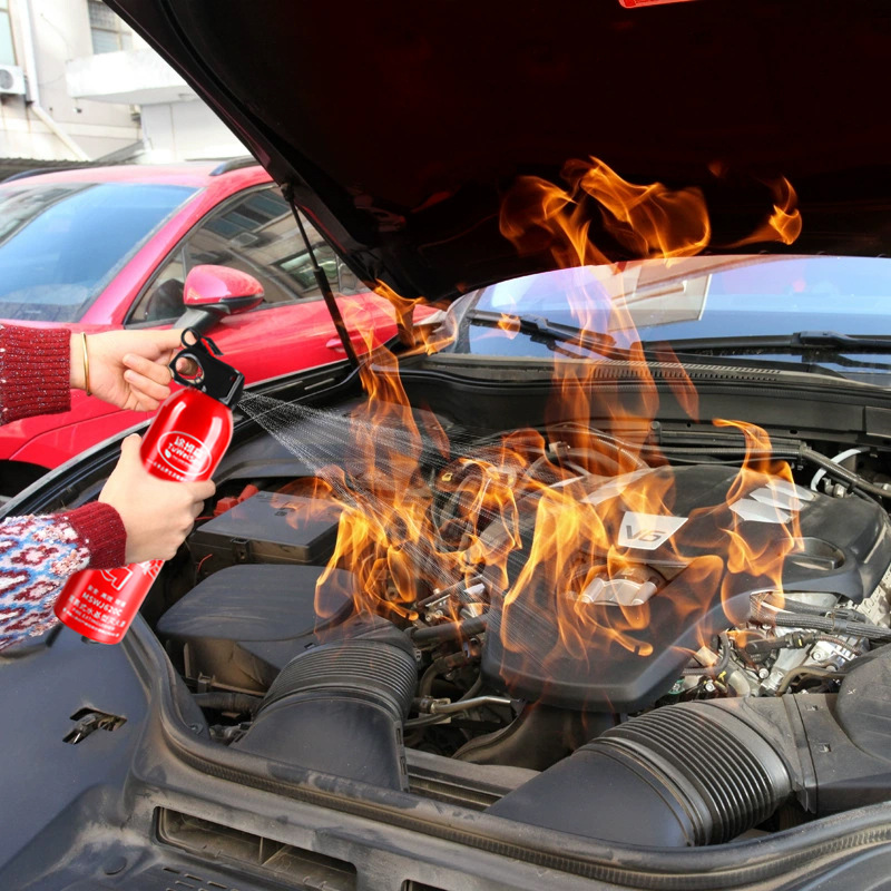 13B Mini water-based fire extinguisher for vehicles, household small fire-fighting equipment, 620ML vehicle fire extinguisher details Picture