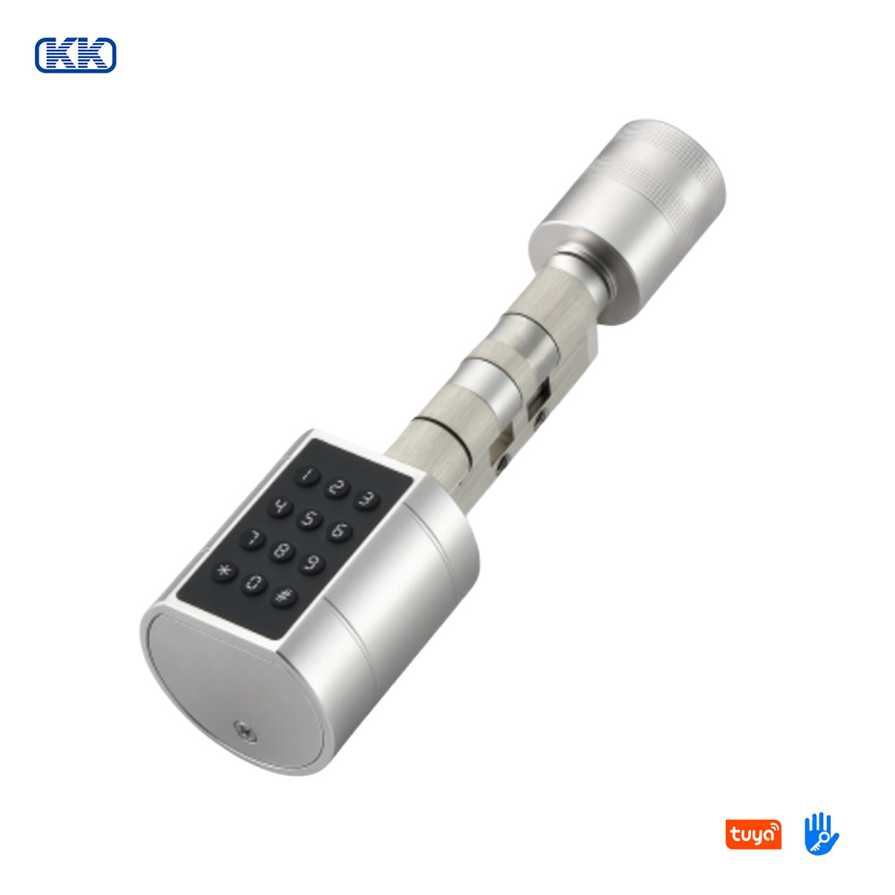 Cross-border smart lock core, graffiti all Bluetooth fingerprint password lock, indoor office apartment adjustable smart door lock