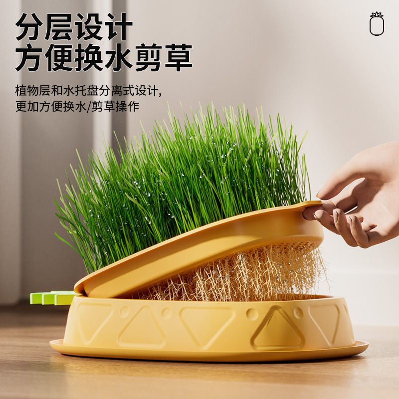 The original pineapple cat grass box is designed for soilless hydroponics with a layered design to expel hairballs and dissolve hair, promoting digestion and cultivation details Picture
