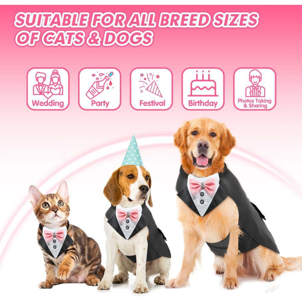 Cute pet clothing for dogs and cats. Spring and summer pet clothing and accessories. Comfortable and fashionable pet dog clothes details Picture