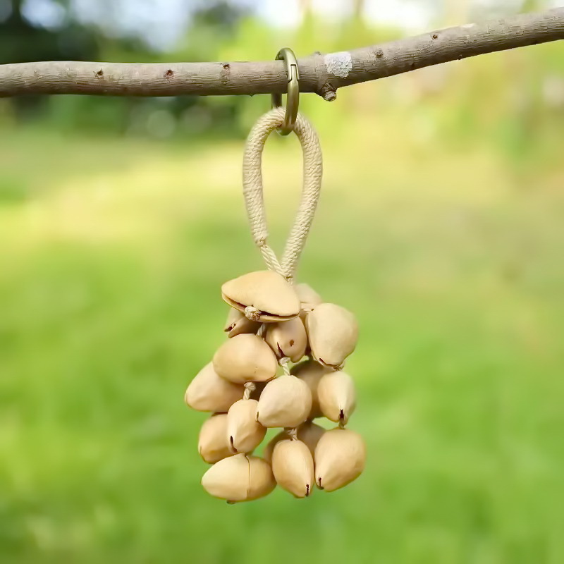 Fruit shell bell, hand-cranked bell, wind chime bag, handcrafted sound beam, bell pendant, wholesale from Indonesian black fruit shell factory details Picture