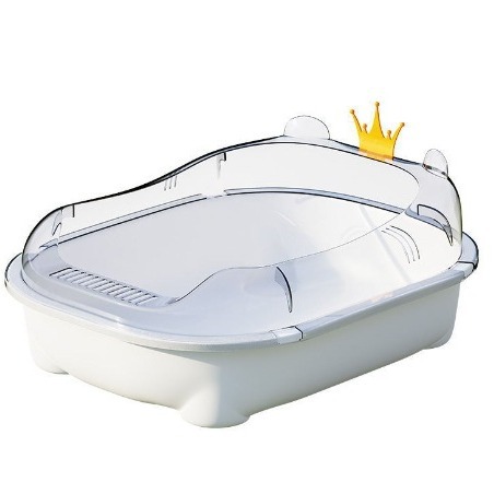 import白底实物图