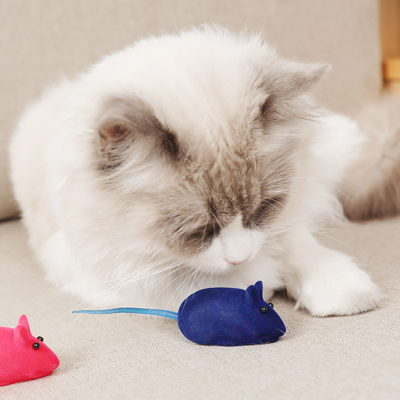 Pet rising toy pet little mouse rising toy cat juguetes juguetes para mascotas venta al por mayor Specification image