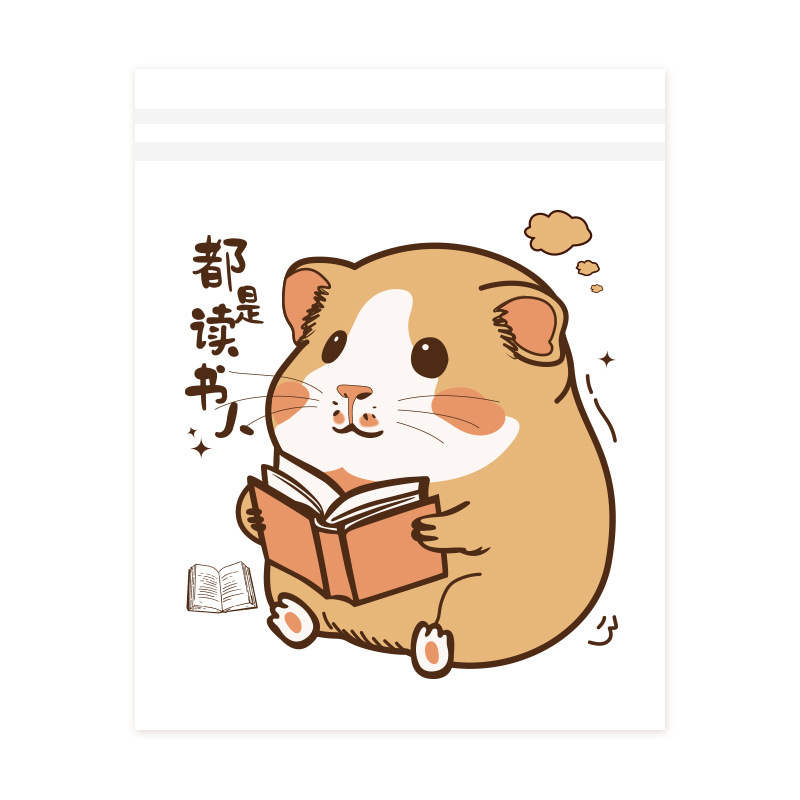 import白底实物图