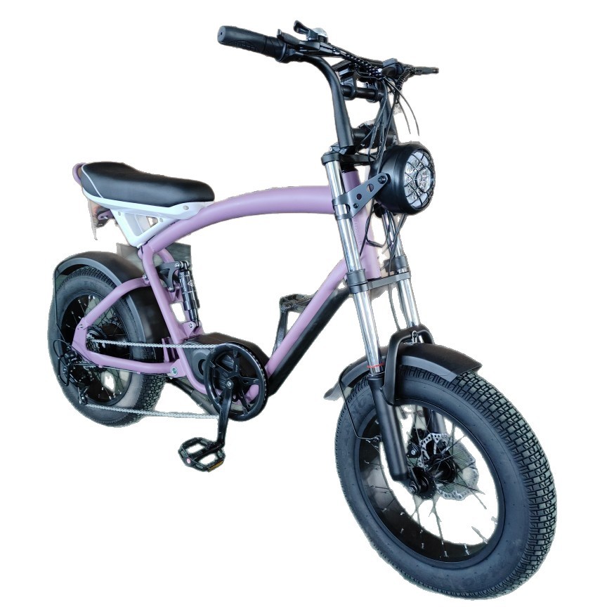 New energy smart ebike, fat tire lithium battery-assisted bicycle, electric snowmobile, off-road beach buggy Item Picture