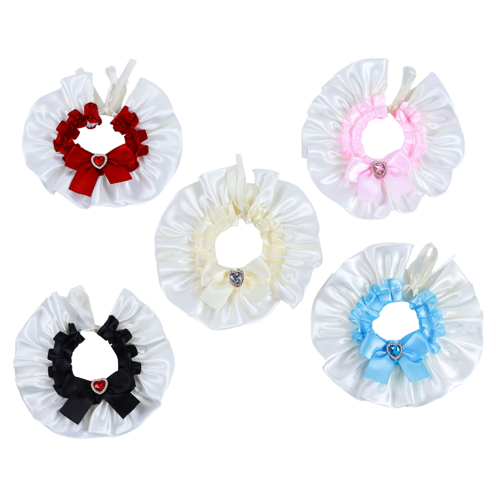 宠物白底实物图