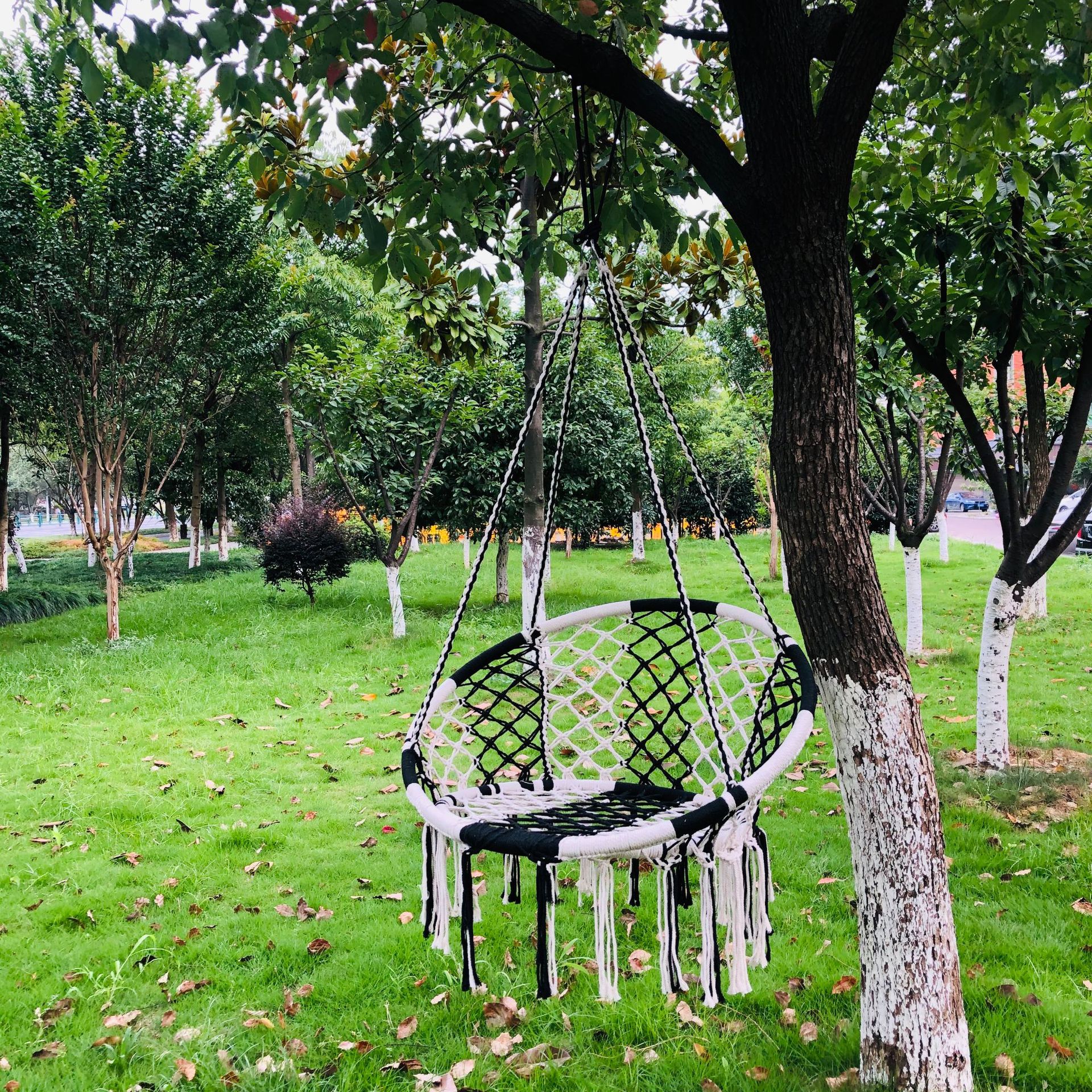 户外吊椅 流苏吊篮 流苏吊椅 室内吊床  吊椅北欧棉绳网秋千吊篮