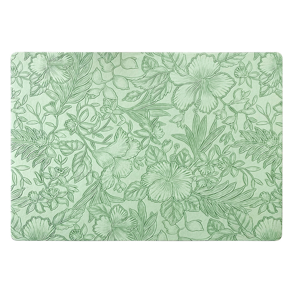 import白底实物图