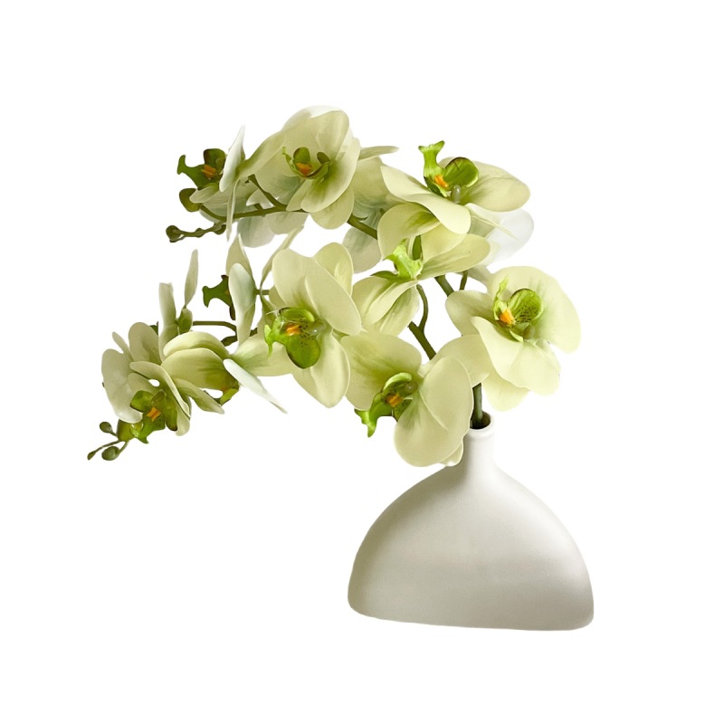 白桦树树叶/春天花园/微缩树桩古树/绿植仿真树/白桦树叶子白底实物图