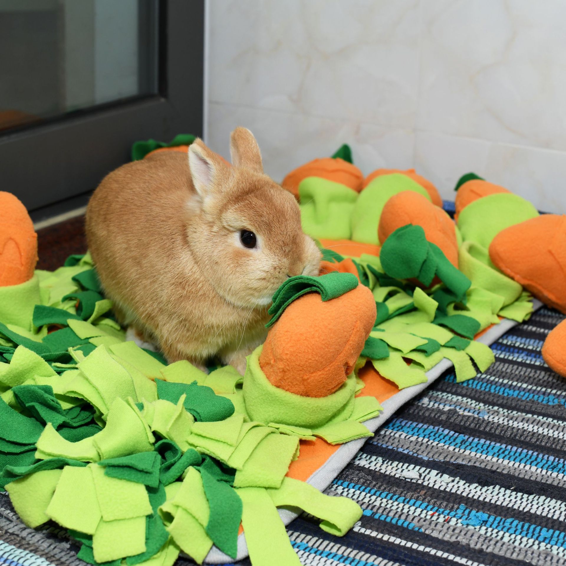 Rongka Pet Cross-border Radish Element Series: Five Radish Pull and Pull Pet Sniffing Pads, fun and educational pet supplies, and Tibetan food pads details Picture