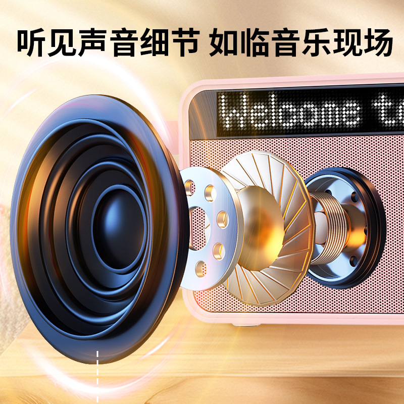 新款Y-16歌词显示智能蓝牙音箱户话筒外家用双麦克风K歌音响一体产品图