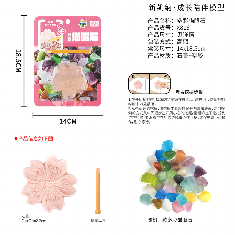 仿真化石玩具益智挖掘动物软骨架海洋模型拼接男孩考古玩具白底实物图