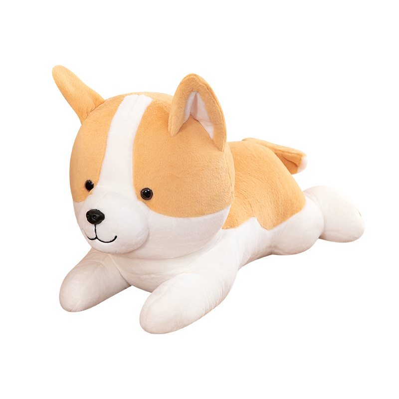 宠物/宠物用品/宠物玩具/狗狗玩具/耐咬玩具白底实物图