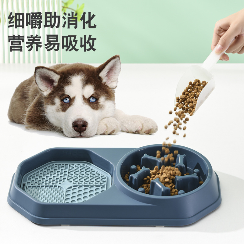 Rongka Pet Cross-border Anti-Tipping cat Bowl, dog bowl, Feeder, anti-choking dog bowl, rice bowl, plastic pet bowl, slow food bowl Application Scenario