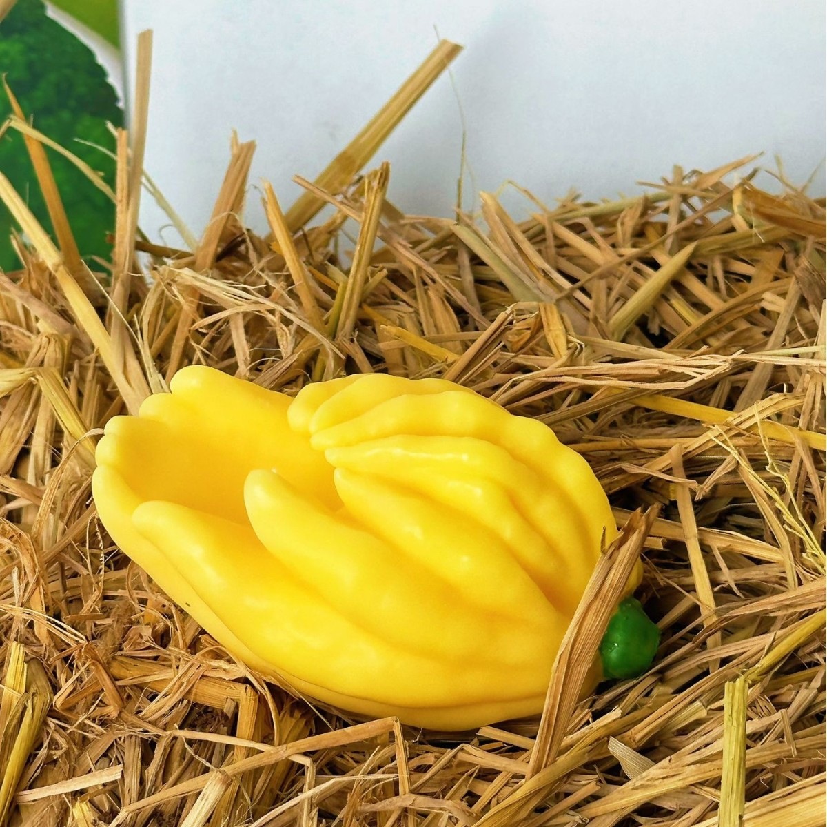 Scented candles, simulated bergamot, Ganoderma lucidum, mushroom and chestnut-shaped candles, home decoration ornaments, buyer's cultural and creative products