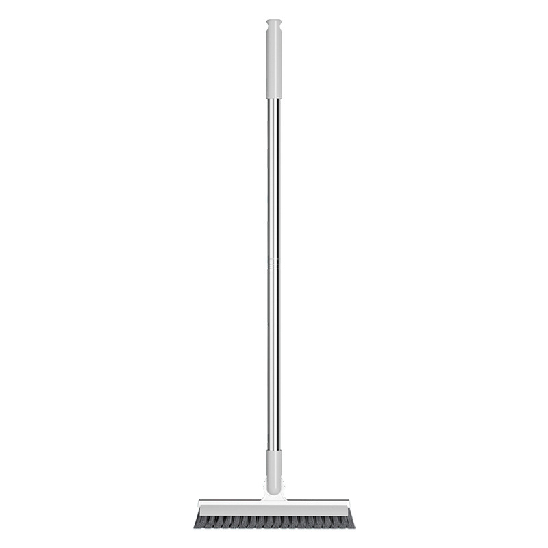 import白底实物图