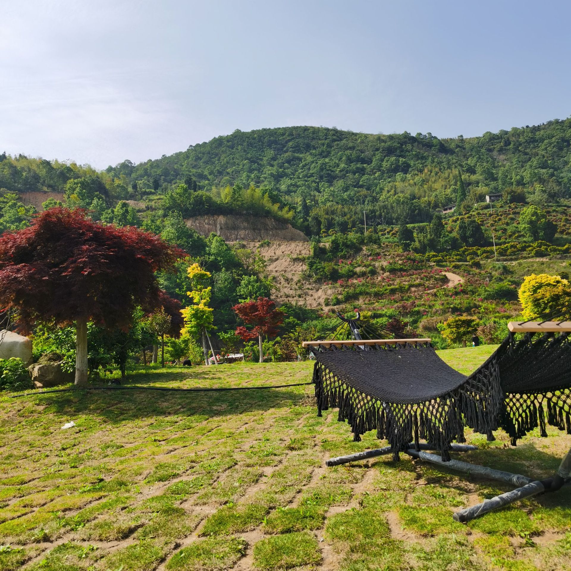 网状吊床 户外 吊床 吊床流苏 花边吊床 流苏吊床室内吊床吊椅
