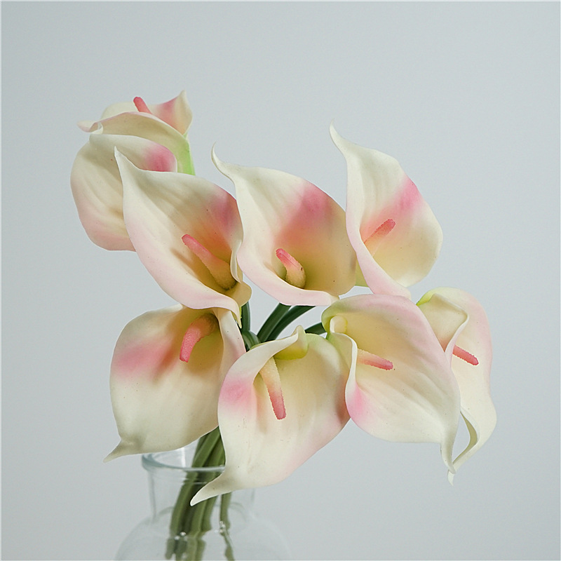 仿真水生植物实物图