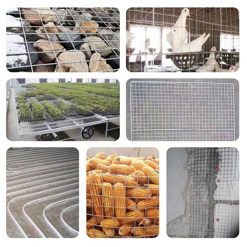 Galvanized fence net, roll-shaped metal mesh, outdoor pet isolation fence, metal fence Application Scenario