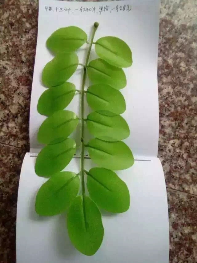 仿真花配件，仿真叶子，玫瑰叶，牡丹叶，菊叶细节图