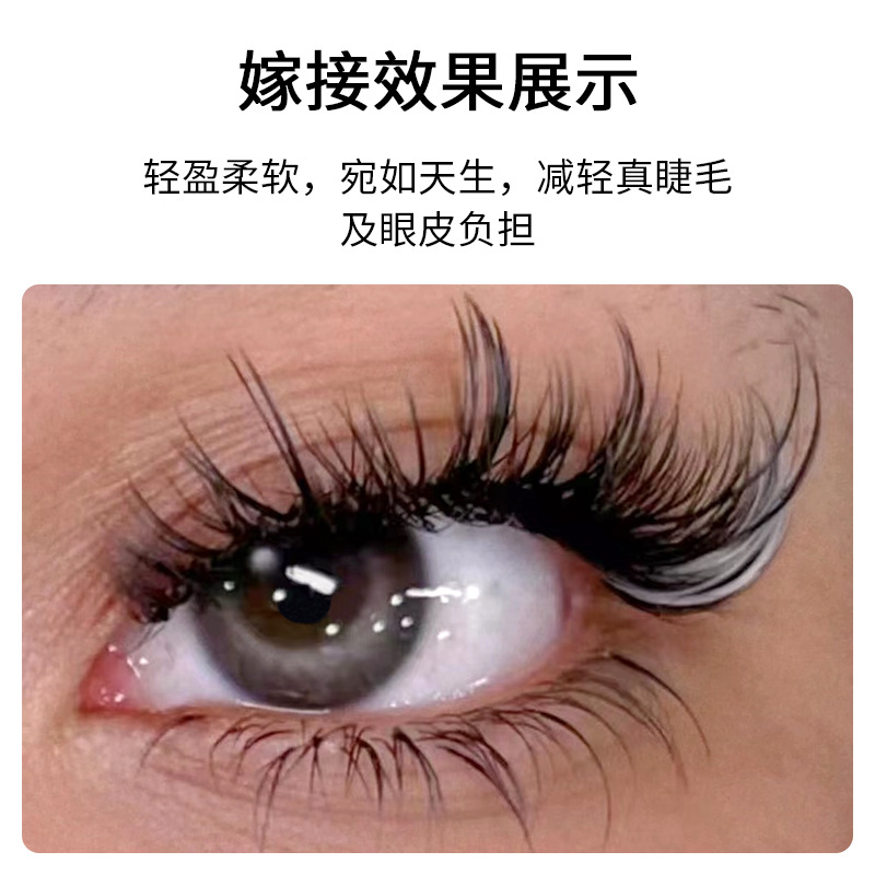 shanilak color marrón frío eyelash injertado premium gris oliva verde azul oscuro suave natural simple pelo redondo Item Picture
