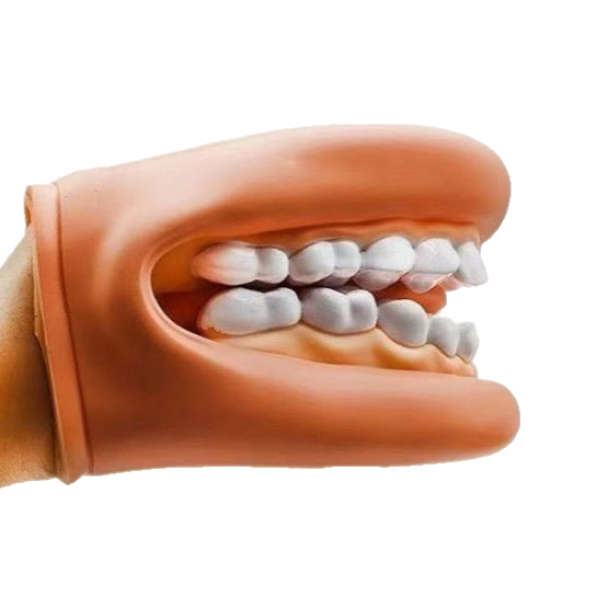 Dental model, oral teaching, dental simulation teaching AIDS, kindergarten brushing, medical children's pronunciation demonstration, handheld Item Picture