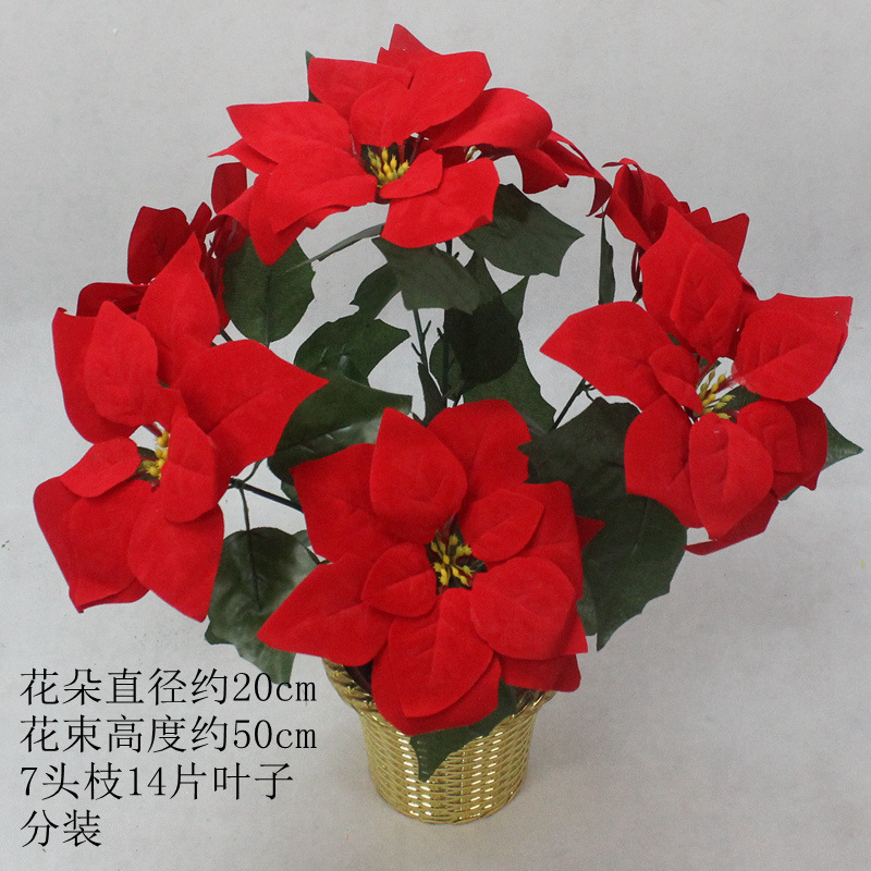 永生花实物图