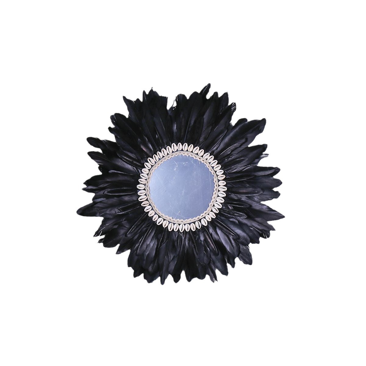 import白底实物图