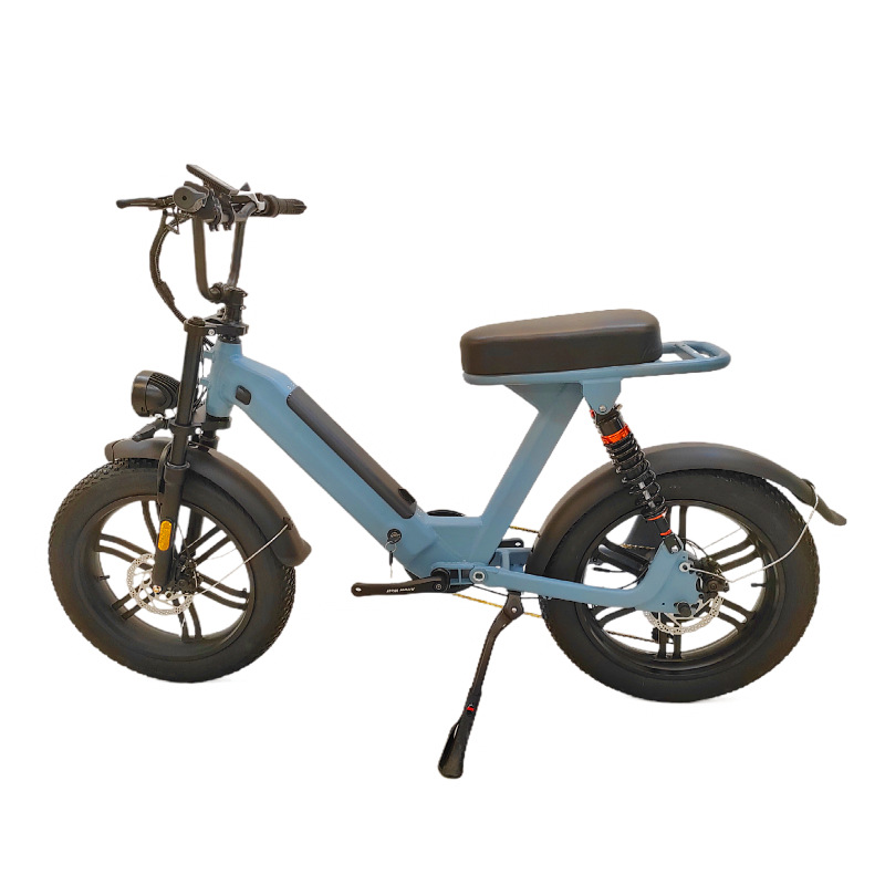 Design electric bicycles to assist mountain bikes, snow folding electric bicycles, and dual-drive electric bicycles details Picture