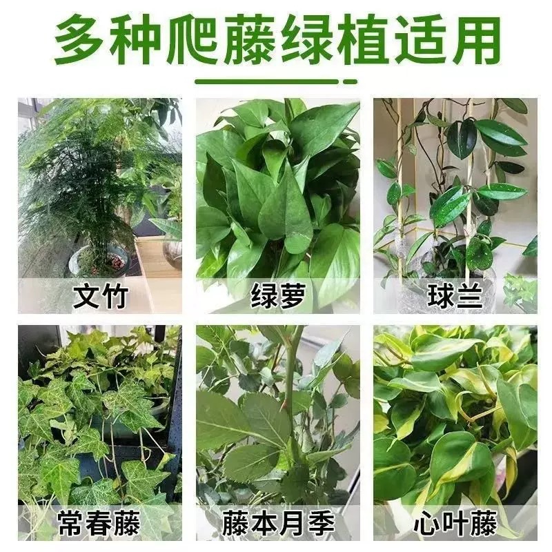 The magic tool for climbing the green vine, the wall climbing green vine fixator, the green plant climbing clip, the wall traceless hook, and the climbing vine stick Specification image