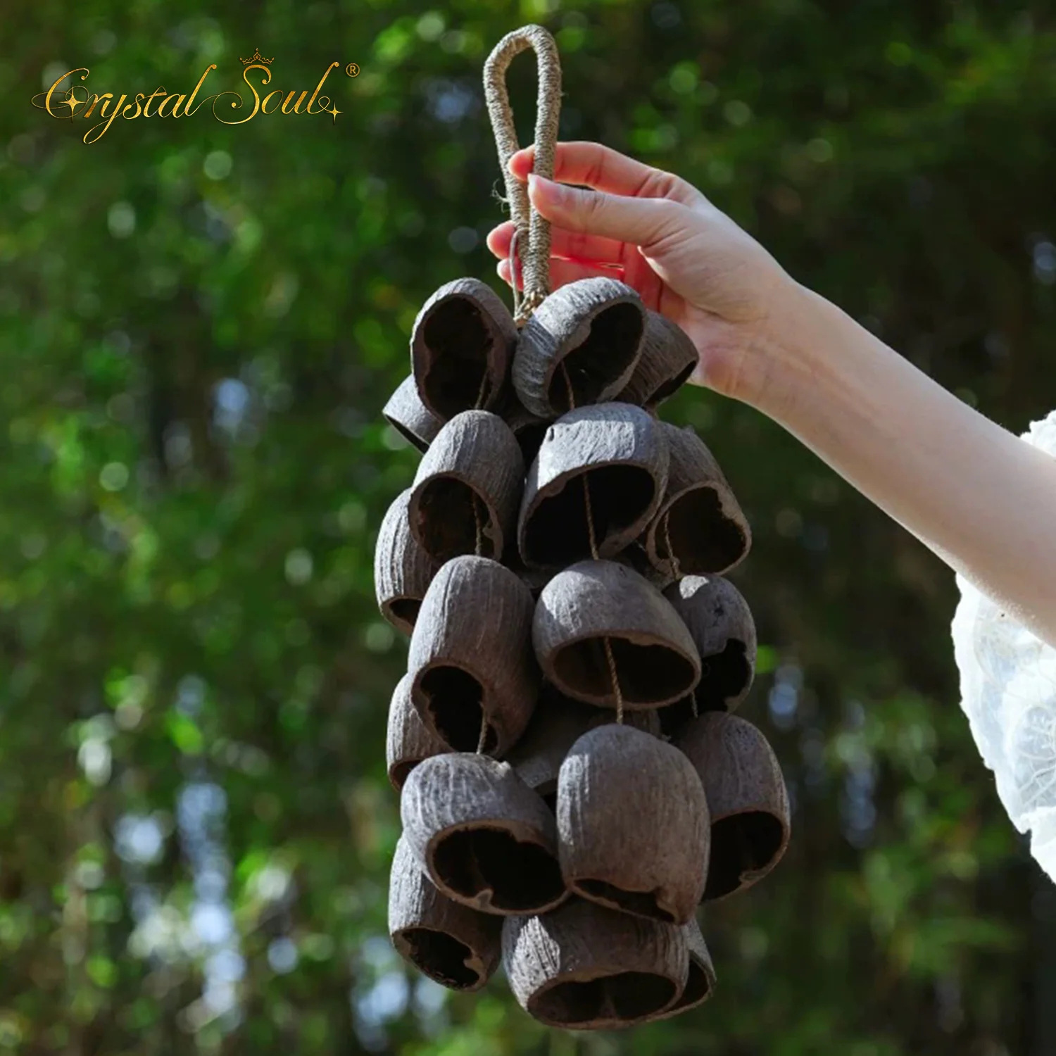 Jingling Fruit Shell Salin Fruit Wind chime, Natural fruit shell car backpack Pendant Bell, Birthday gift details Picture