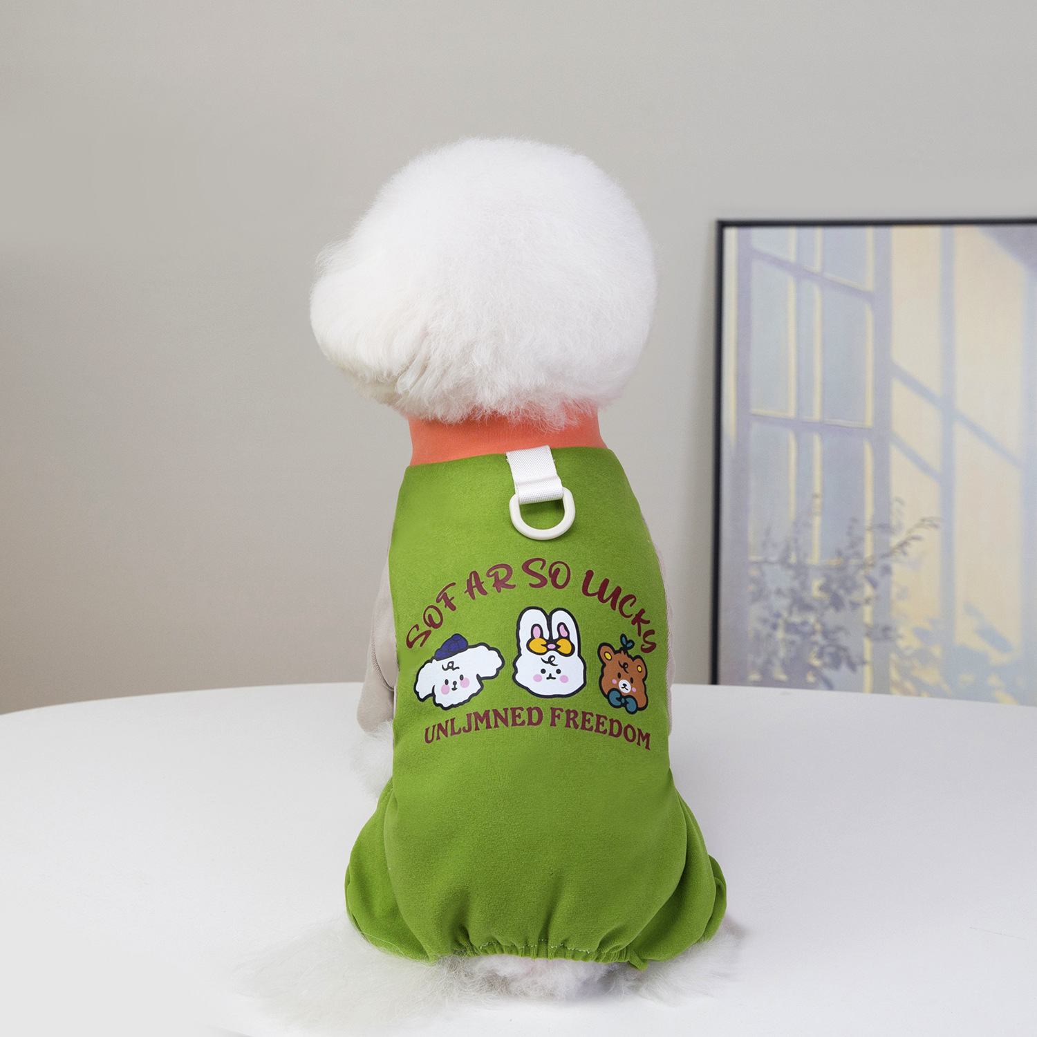 Perro mascota cuatro piernas ropa de perro medio cachorros ropa de gato productos para gatos otoño e invierno de peluche cuatro piernas ropa de teddy fafa ropa de combate Application Scenario