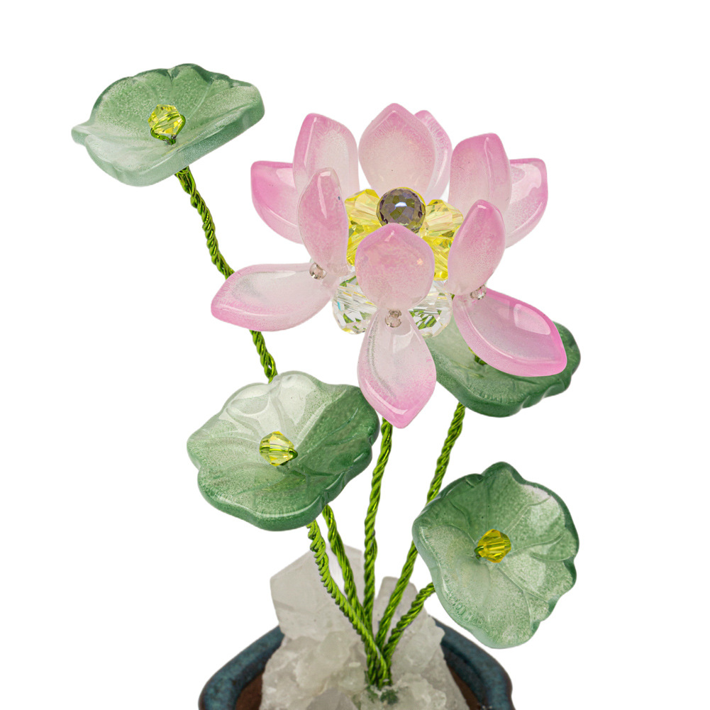 兰科植物实物图