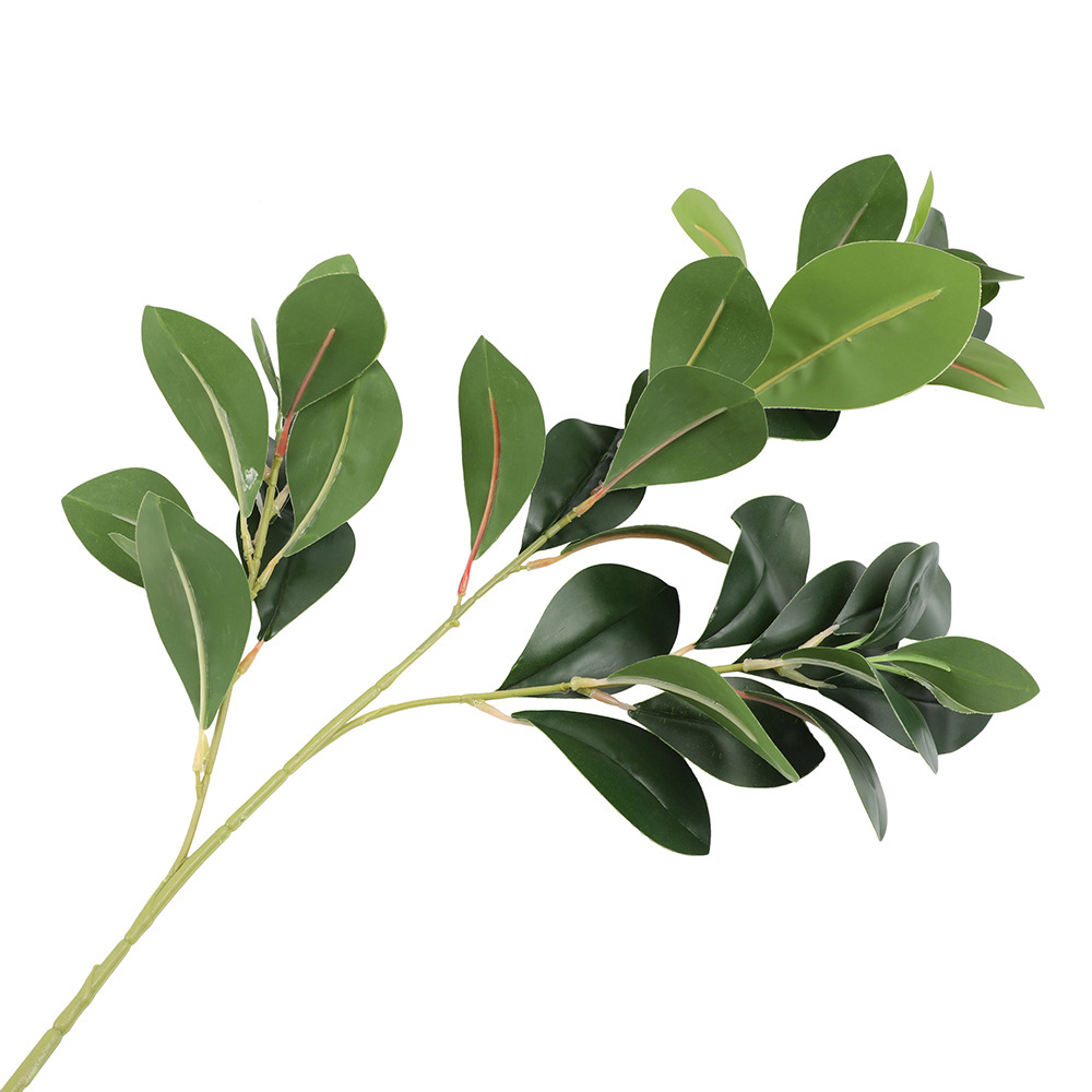 仿真蕨类实物图