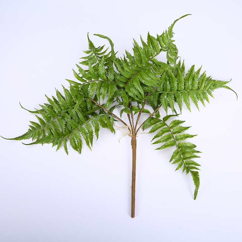 婚庆装饰仿真植物假花绿植蕨类叶子植物墙绿植墙配材波斯草波斯叶
